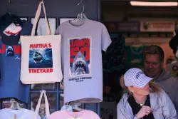 Column: How ‘Jaws’ changed our chumminess with swimming 50 years ago this summer